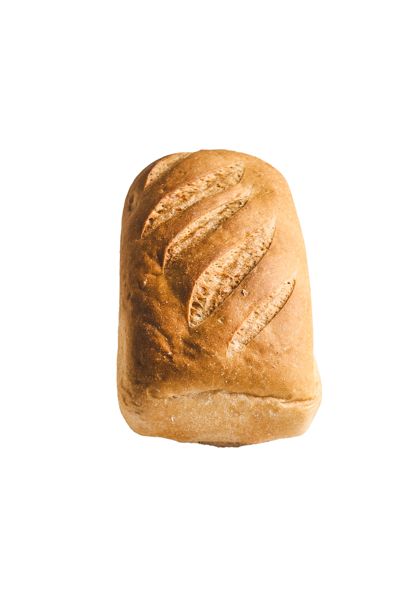 Wit brood GV/MV/ TV – groot